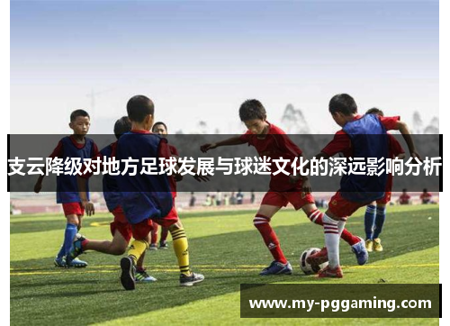支云降级对地方足球发展与球迷文化的深远影响分析