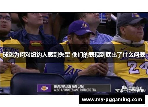 球迷为何对纽约人感到失望 他们的表现到底出了什么问题