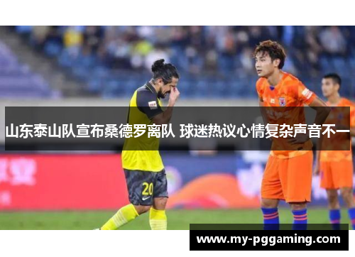 山东泰山队宣布桑德罗离队 球迷热议心情复杂声音不一