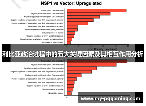 利比亚政治进程中的五大关键因素及其相互作用分析