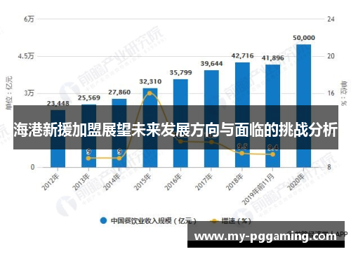 海港新援加盟展望未来发展方向与面临的挑战分析