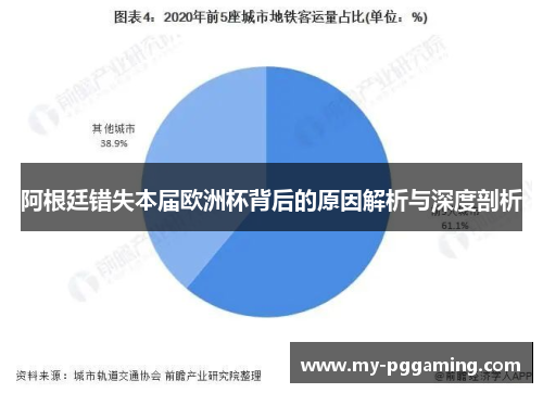 阿根廷错失本届欧洲杯背后的原因解析与深度剖析