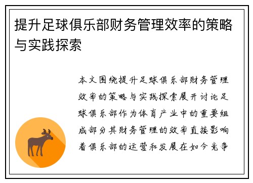 提升足球俱乐部财务管理效率的策略与实践探索